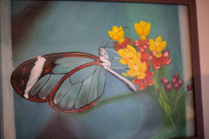 Картина маслом Бабочка с прозрачными крыльями 30*40