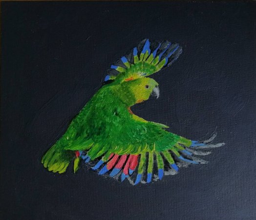 Попугай зеленый