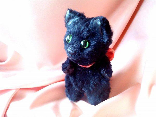 Чёрный Кот Тедди Маркиз