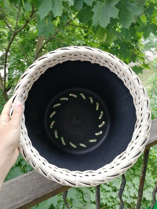 вазоны из искусственного ротанга. кашпо из ротанга из тазика. кашпо плетеное из искусственного ротанга 12л белое 1900. плетеное кашпо из ротанга. кашпо 20 л полиротанг.